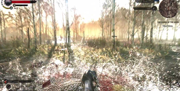 New Witcher footage is very pretty