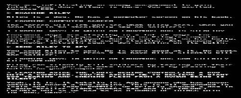 Würden Sie CoD: Ghosts als Textadventure bevorzugen?