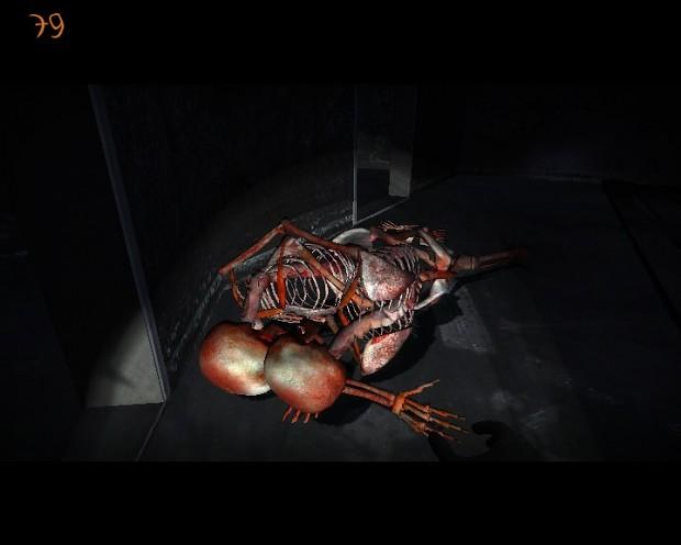 Half-Life 2 - Cuerda G v1.0