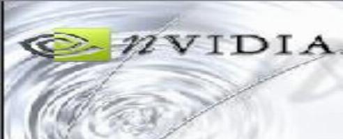 New nVidia  Drivers Leaked