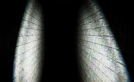 Imprisoned Free Full Game