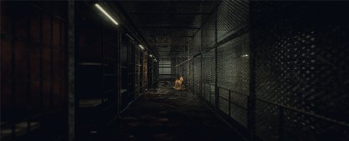 Inmates