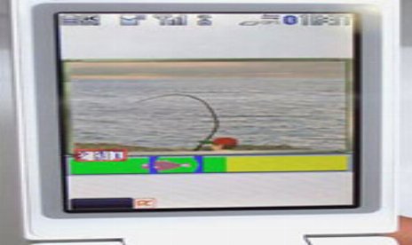 Japanese Players Catch Real Fishes Through Mobile