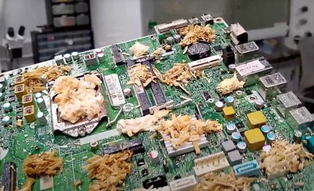 This mushroom motherboard heralds an unsettling David Lynch-style future