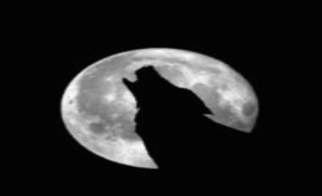 Herr der Ringe: Schlacht um Mittelerde v1.02 (+2 Trainer)