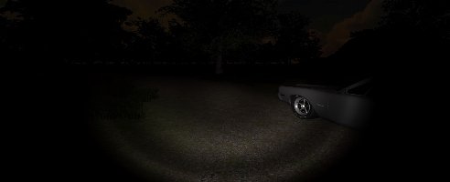 Lost in the Forest