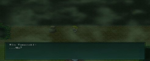 Mermaid Swamp