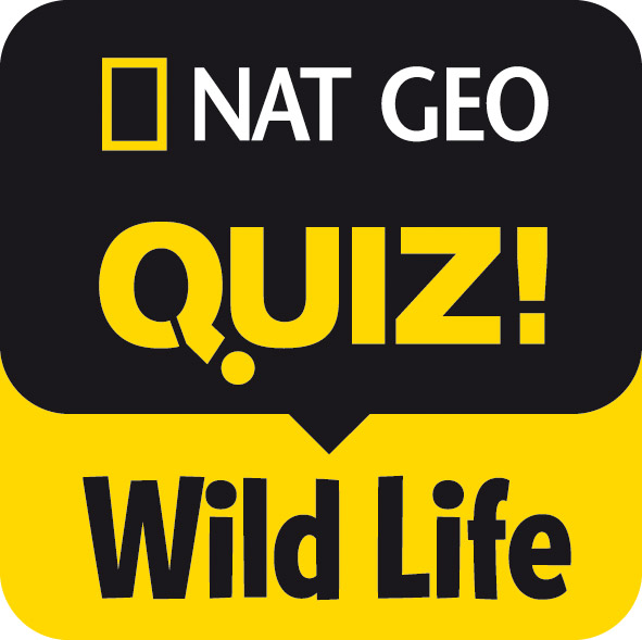 Quiz NatGeo ! La vie sauvage
