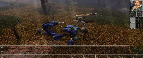 Neverwinter Nights