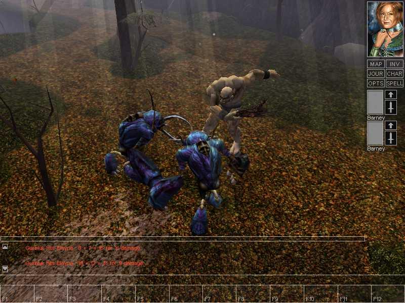 Les nuits de Neverwinter
