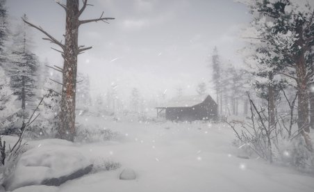 Northern Lights (+6 Trainer)