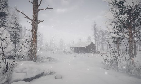 Northern Lights (+6 Trainer)