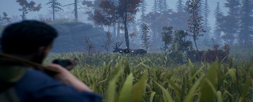 Open Country (+5 Trainer)