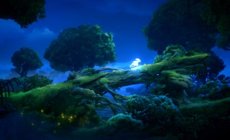 Ori and the Will of the Wisps (+14 Entrenador)