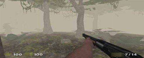 Vietnam 2: misión especial