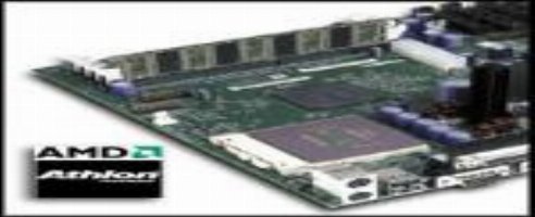 AMD Bridging the GHz Divide