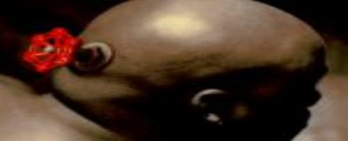 Half-Life 2 SDK Soon