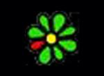 ICQ Banner Issue
