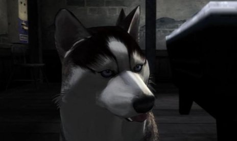 Namco Rest of 2005 Lineup