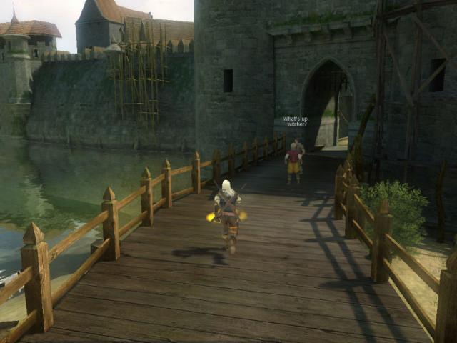 nVidia bedeutet, dass The Witcher gespielt werden kann