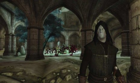 New Oblivion Content – Details