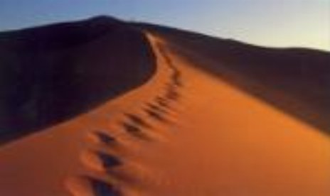 TKO desarrollará Sahara