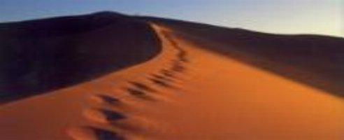 TKO To Develop Sahara