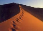 TKO To Develop Sahara