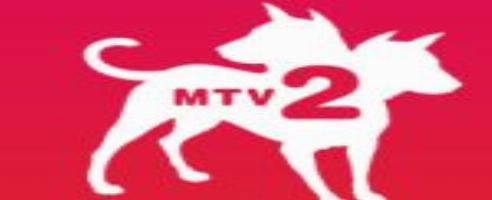 Viacom kauft XFire