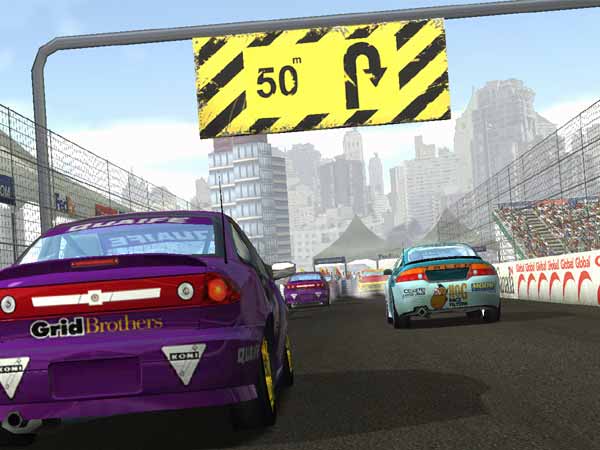 Pro Race Driver