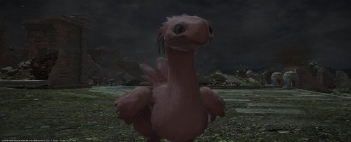 Roter Chocobo erschreckt Final Fantasy XIV-Spielerbasis