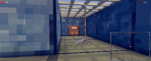 Risky Maze
