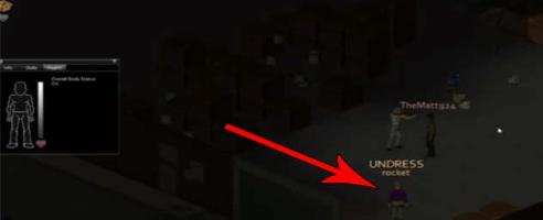 Beim Online-Zombie-Survival sind wir alle der Gouverneur