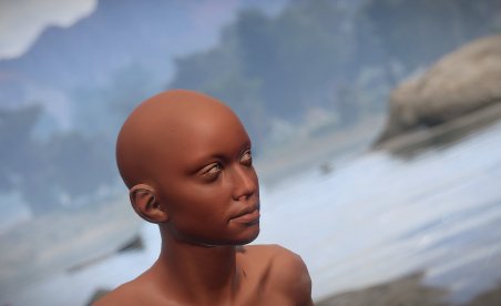 Rust Players Doubled After Introducing Female Character Models
