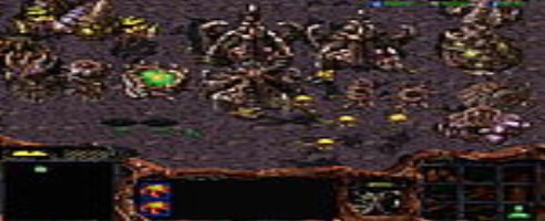 StarCraft: Brood War +5 trainer