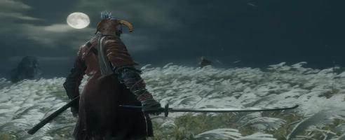 Das Kampfsystem von Sekiro wird nach Skyrim portiert