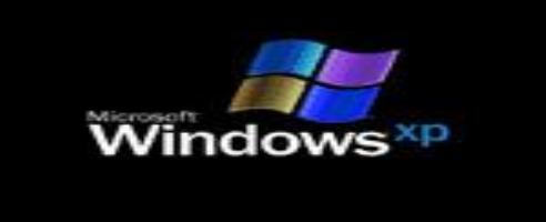 Win XP Stunden nach Veröffentlichung geknackt