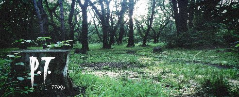 Silent Memories P.T