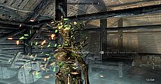 The Elder Scrolls V: Skyrim - SkyFi R1