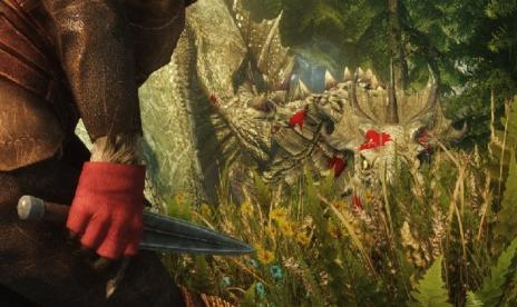 All Skyrim DLC Set For PS3 In February