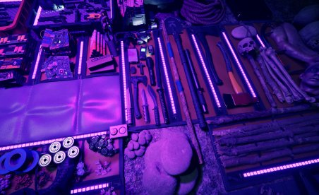 Hijos del bosque v1.0+ (+21 Entrenador)