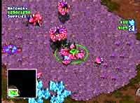 Starcraft 64 maintenant en magasin !