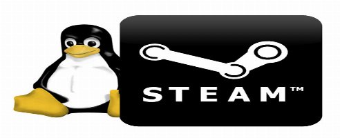 Steam für Linux Beta beginnt