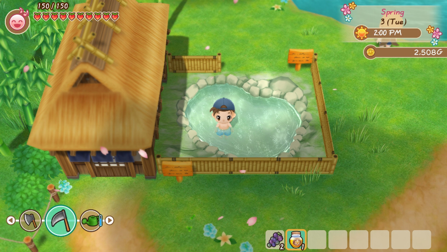 STORY OF SEASONS: Friends of Mineral Town<