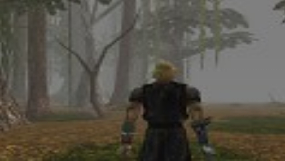 Neverwinter Nights