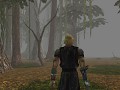 Neverwinter Nights - Cuentos de un reino olvidado - El resurgir de una leyenda
