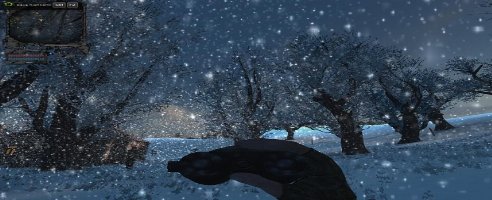 Die verfluchte Zone Winter Voll
