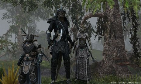 The Elder Scrolls Online