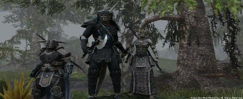The Elder Scrolls Online