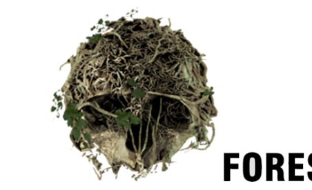 The Forest Early Access v0.57 (+12 Trainer)